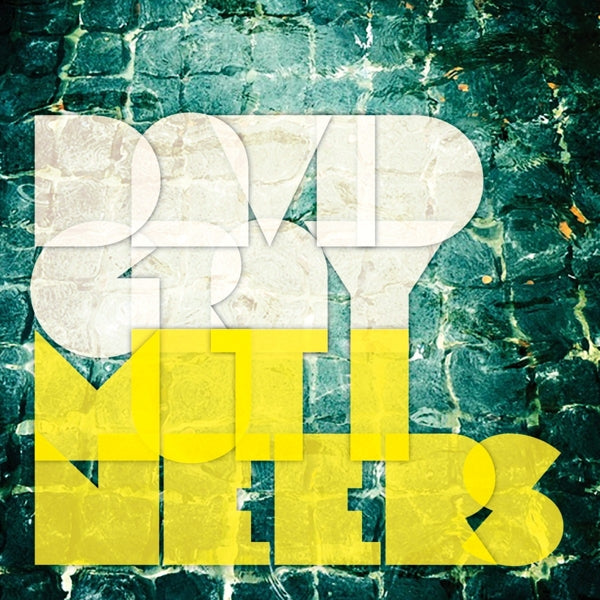 |  Vinyl LP | David Gray - Mutineers (2 LPs) | Records on Vinyl