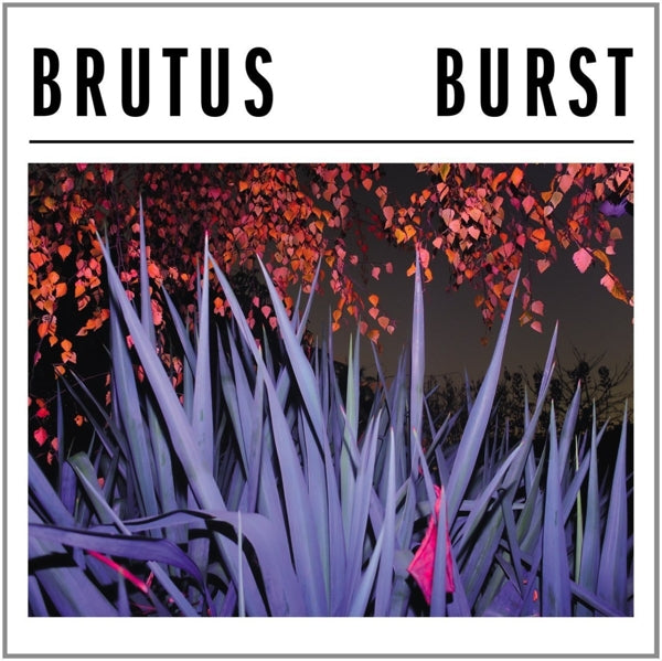 |   | Brutus - Burst (LP) | Records on Vinyl