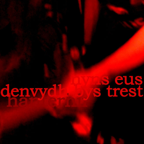 |   | Hanterhir - There is No One To Trust (Nyns Eus Denvydth Bys Trest) (2 LPs) | Records on Vinyl