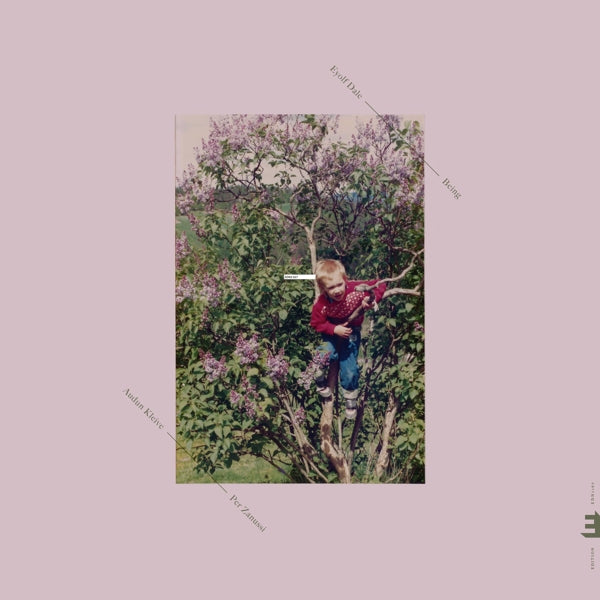 |  Vinyl LP | Eyolf Dale - Being (LP) | Records on Vinyl