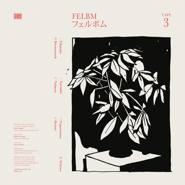 |  Vinyl LP | Felbm - Tape 3/Tape 4 (LP) | Records on Vinyl