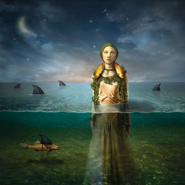 |  Vinyl LP | Bled - Found In the Flood (LP) | Records on Vinyl