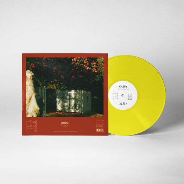 |  Vinyl LP | Casey - How To Disappear (LP) | Records on Vinyl