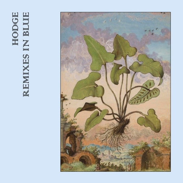 |   | Hodge - Remixes In Blue (Single) | Records on Vinyl