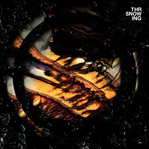 |   | Throwing Snow - Dragons (LP) | Records on Vinyl