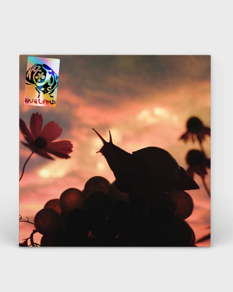 |  Vinyl LP | No Joy - Bugland (LP) | Records on Vinyl