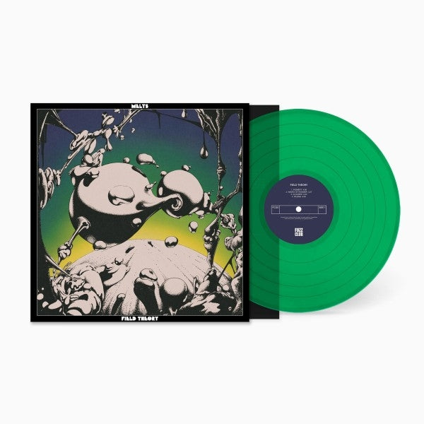 |  Vinyl LP | Melts - Field Theory (LP) | Records on Vinyl