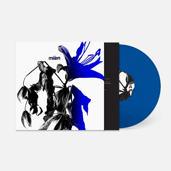|  Vinyl LP | Mien - Miien (LP) | Records on Vinyl