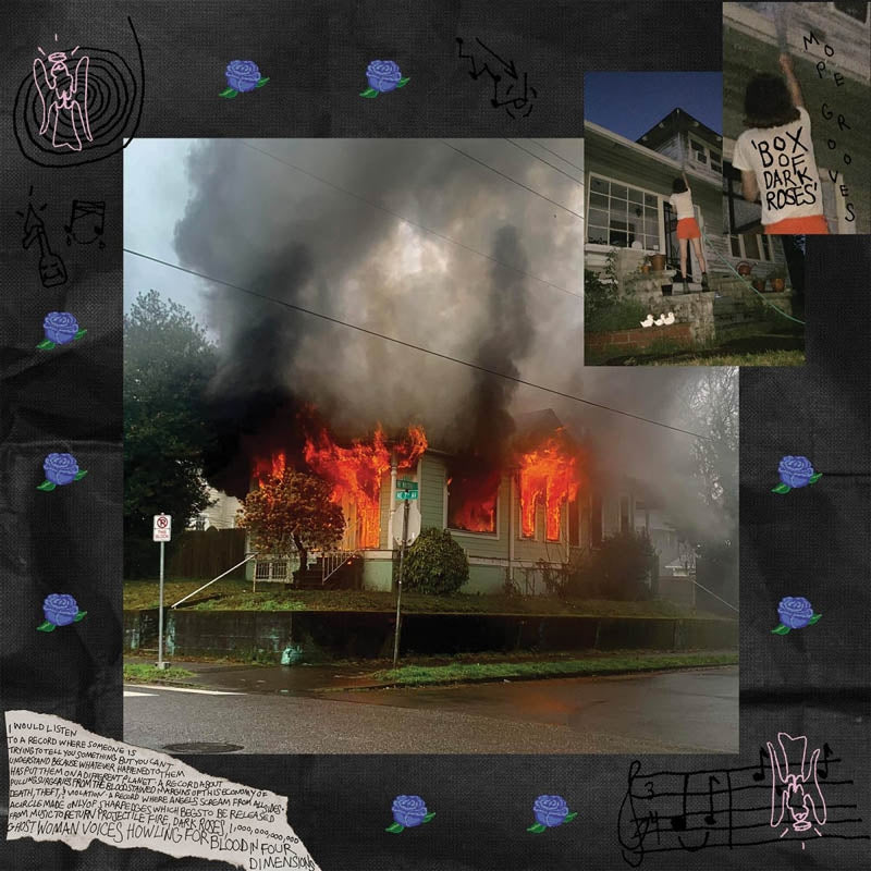 |  Vinyl LP | Mope Grooves - Box of Dark Roses (2 LPs) | Records on Vinyl