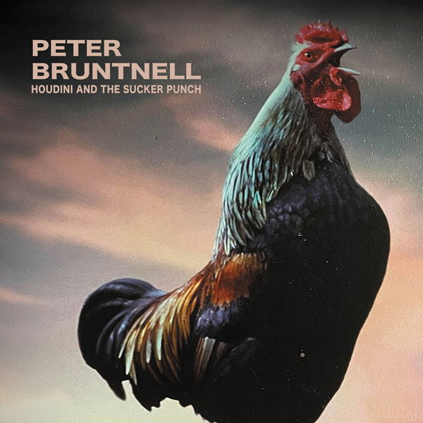|  Vinyl LP | Peter Bruntnell - Houdini and the Sucker Punch (LP) | Records on Vinyl