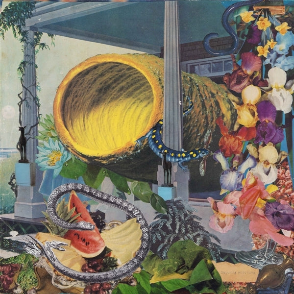 |   | Memotone - Pruning (LP) | Records on Vinyl