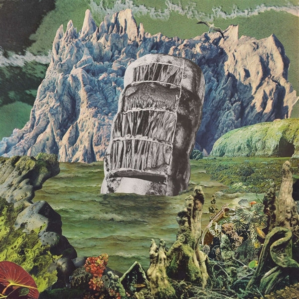 |  Vinyl LP | Goncalo F. Cardoso - Exotic Immensity (2 LPs) | Records on Vinyl