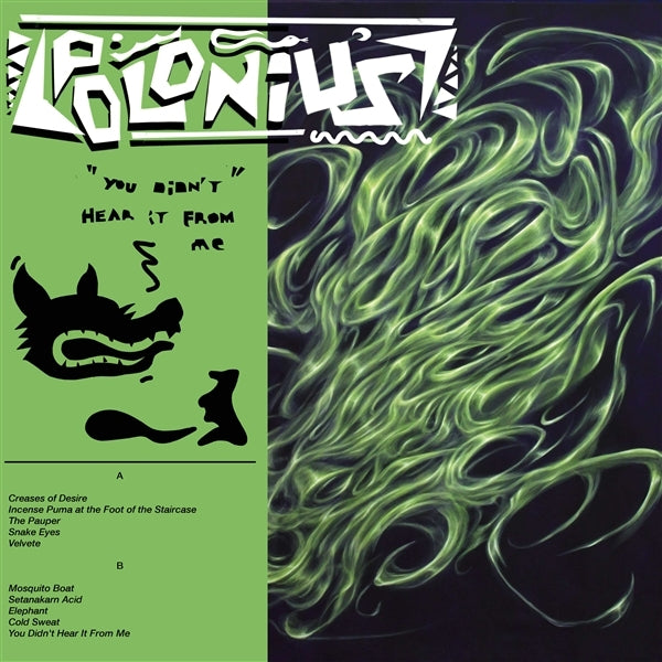 |  Vinyl LP | Polonius - You Didn't Hear It From Me (LP) | Records on Vinyl