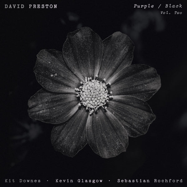 |  Vinyl LP | David Preston - Purple / Black Vol. 2 (LP) | Records on Vinyl