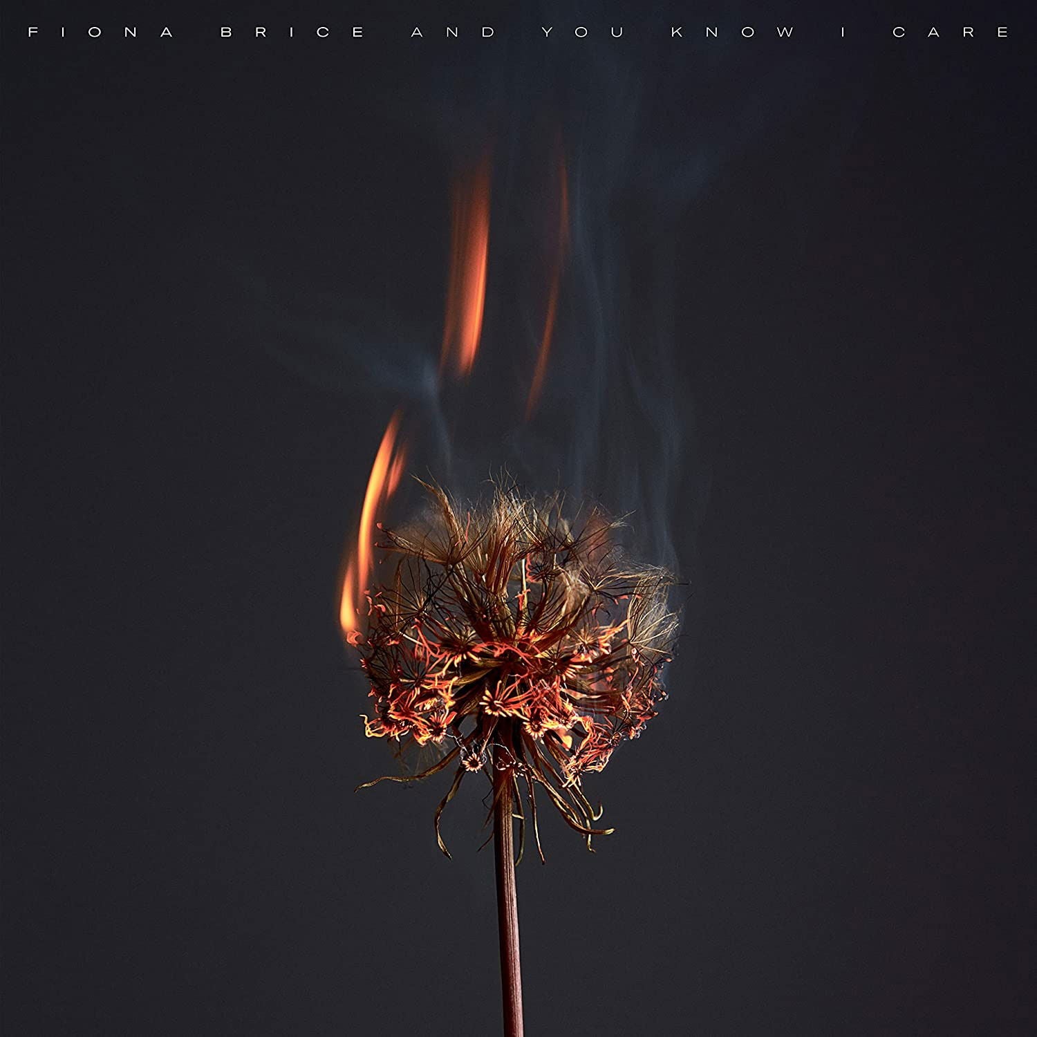 |  Vinyl LP | Fiona Brice - And You Know I Care (LP) | Records on Vinyl