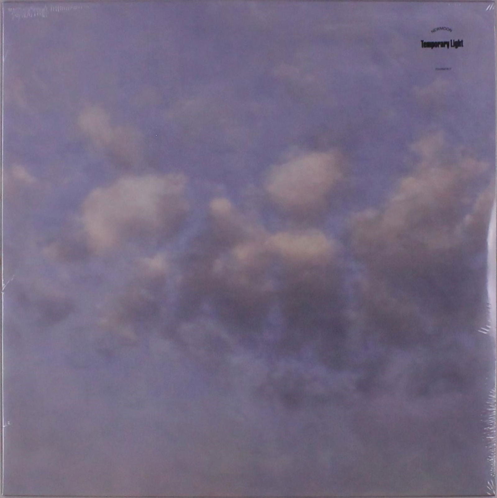 Newmoon - Temporary Light (LP) Cover Arts and Media | Records on Vinyl