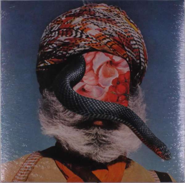 |  Vinyl LP | River Into Lake - Let the Beast Out (LP) | Records on Vinyl