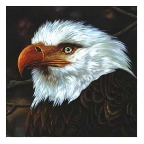 |  Vinyl LP | Mogwai - Hawk is Howling (2 LPs) | Records on Vinyl