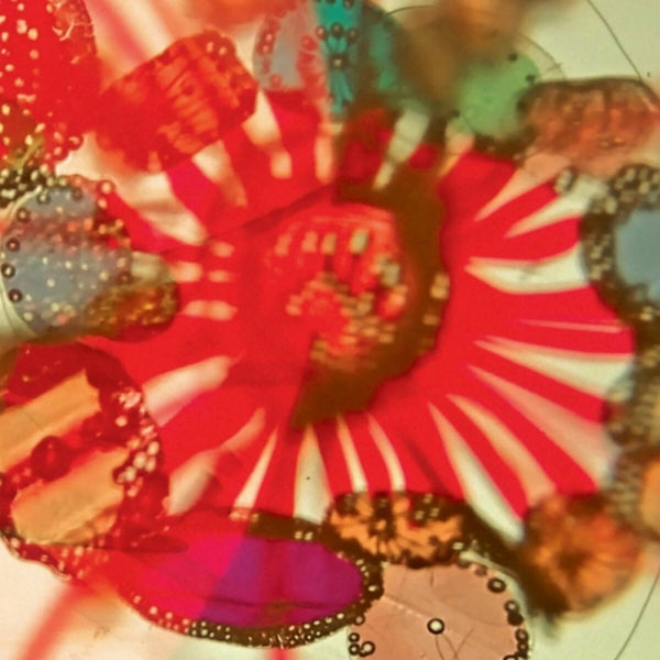 |  Vinyl LP | Pak Yan Lau - Bakunawa (LP) | Records on Vinyl