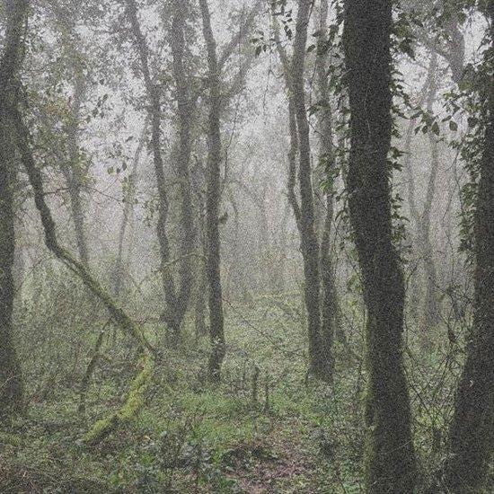 |  12" Single | Orbe - El Bosque De La Niebla (Single) | Records on Vinyl