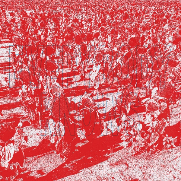 |   | Bony King of Nowhere - Everybody Knows (LP) | Records on Vinyl