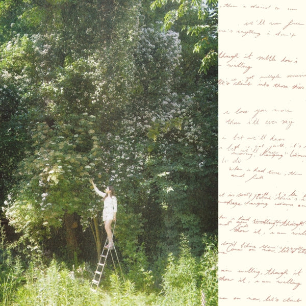 |   | Ivy Falls - Sense & Nonsense (LP) | Records on Vinyl