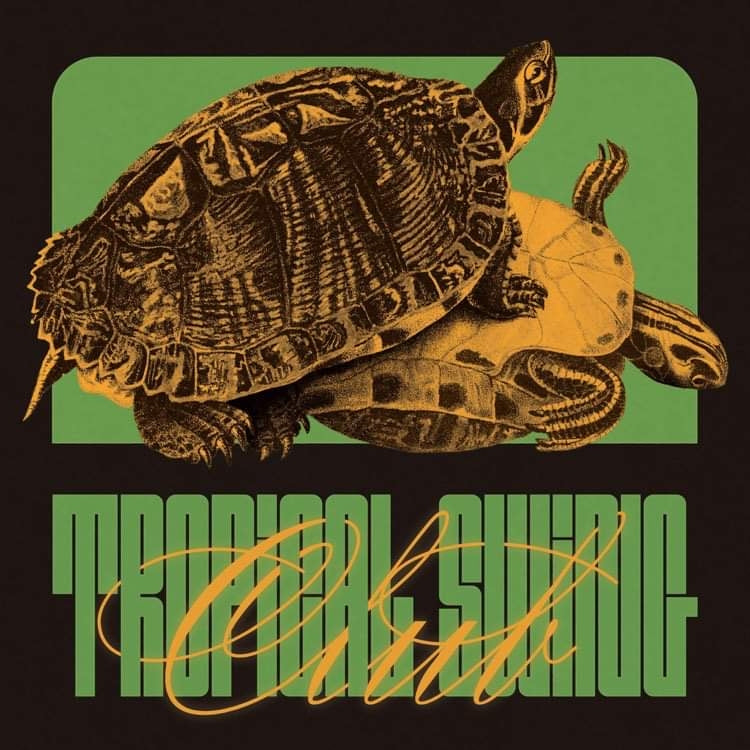 |  12" Single | Dull Boy Johnny - Tropical Swing Club / Fictional Love Scenes (Single) | Records on Vinyl