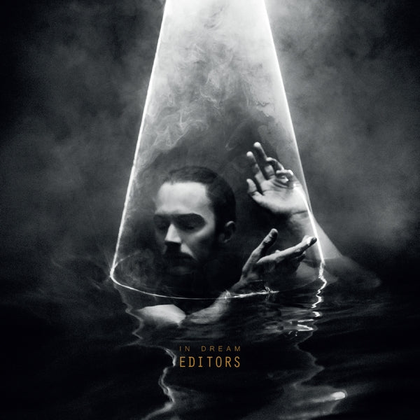 |  Vinyl LP | Editors - In Dream (LP) | Records on Vinyl