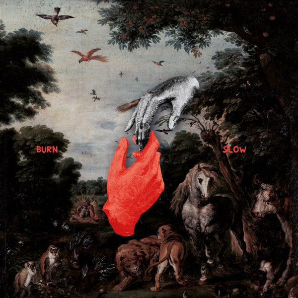 |  Vinyl LP | Chris Liebing - Burn Slow (2 LPs) | Records on Vinyl