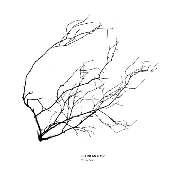 |  Vinyl LP | Black Motor - Branches (LP) | Records on Vinyl