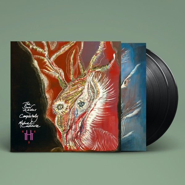 |  Vinyl LP | Michael Cashmore - The Snow Abides Completely (2 LPs) | Records on Vinyl