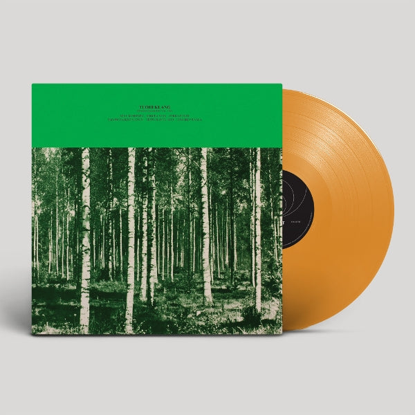 |   | Tuohi Klang - Pennselmann Hits Vol. 2765 (LP) | Records on Vinyl