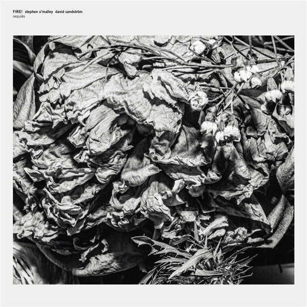 |  Vinyl LP | Fire! & Stephen O'Malley & David Sandstrom - Requires (LP) | Records on Vinyl