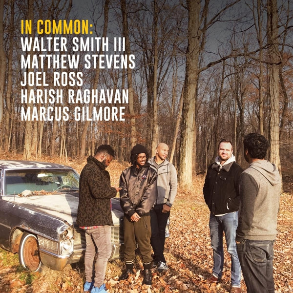 |  Vinyl LP | In Common - In Common (LP) | Records on Vinyl