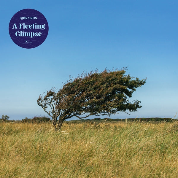 |  Vinyl LP | Bjorn Riis - A Fleeting Glimpse (LP) | Records on Vinyl