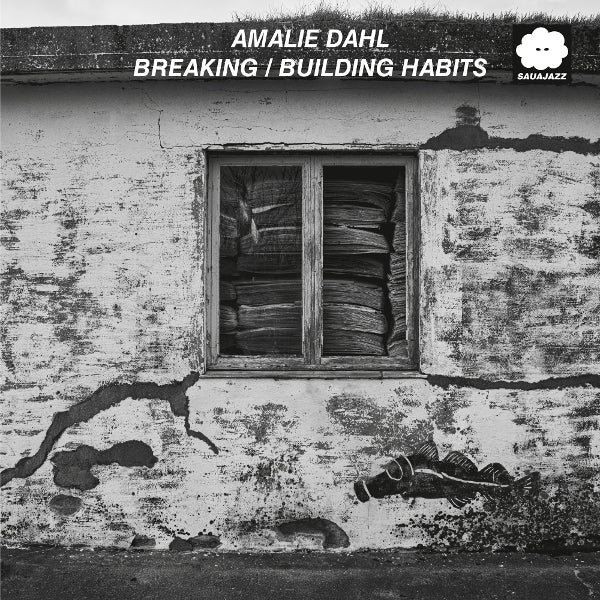 |  Vinyl LP | Amalie Dahl - Breaking / Building Habits (LP) | Records on Vinyl