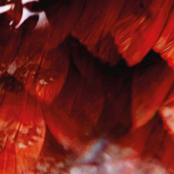 |   | Tigana Santana - Vida Codigo/Meios (Single) | Records on Vinyl