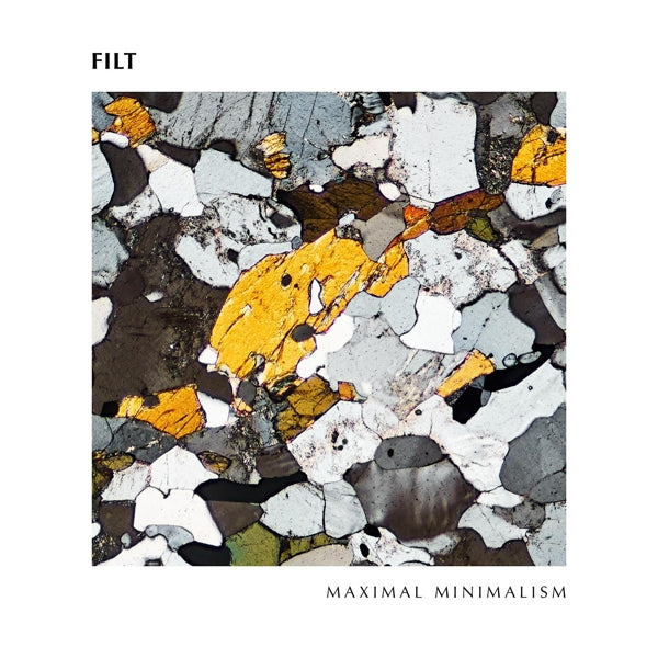 |  Vinyl LP | Filt - Maximal Minimalism (LP) | Records on Vinyl