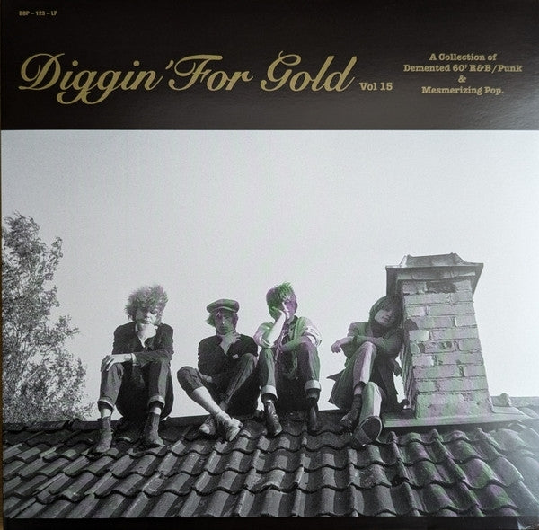 |  Vinyl LP | Various Artist - Diggin' For Gold, Vol. 15 (LP) | Records on Vinyl