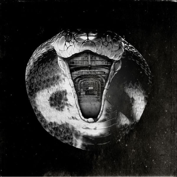 |  Vinyl LP | Mommyheads - Genius Killer (LP) | Records on Vinyl
