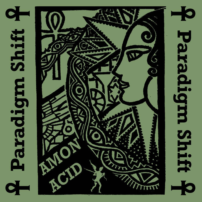 |  Vinyl LP | Amon Acid - Paradigm Shift (LP) | Records on Vinyl