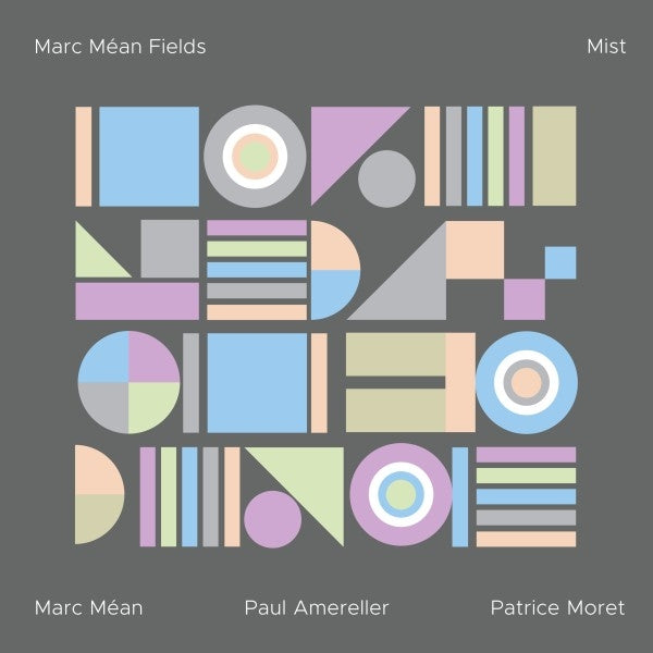 |  Vinyl LP | Marc Mean Fields - Mist (LP) | Records on Vinyl