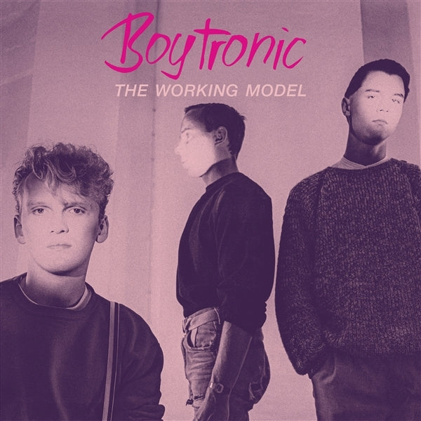|  Vinyl LP | Boytronic - The Working Model (2 LPs) | Records on Vinyl