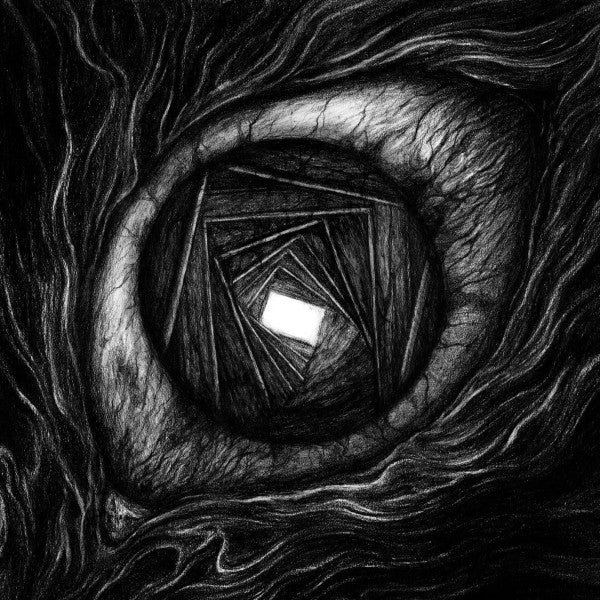 |  Vinyl LP | Carpe Noctum - Vitrun (LP) | Records on Vinyl