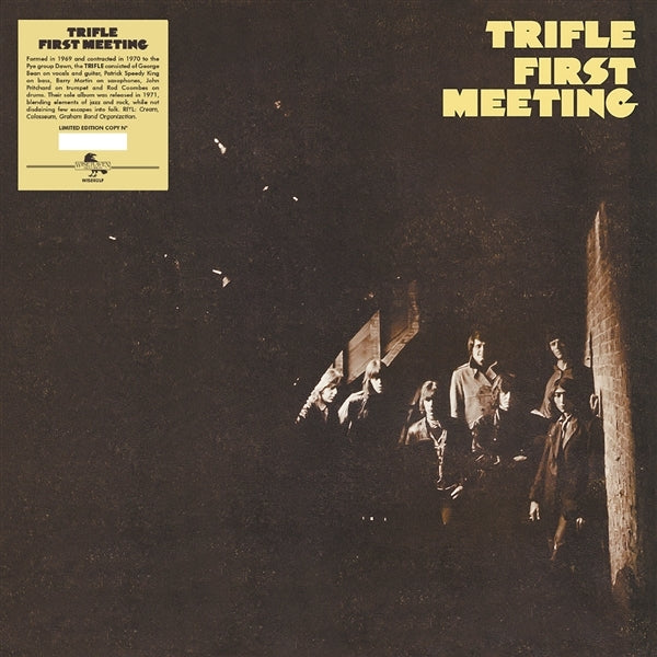 |  Vinyl LP | Trifle - First Meeting (LP) | Records on Vinyl