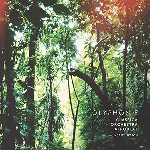 |  Vinyl LP | Classica Orchestra Afrobeat - Polyphonie (LP) | Records on Vinyl