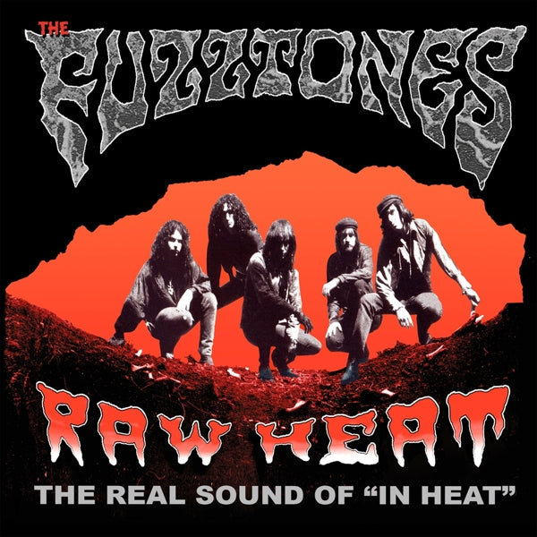 |  Vinyl LP | Fuzztones - Raw Heat (LP) | Records on Vinyl