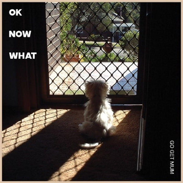 |  12" Single | Go Get Mum - Ok Now What (Single) | Records on Vinyl