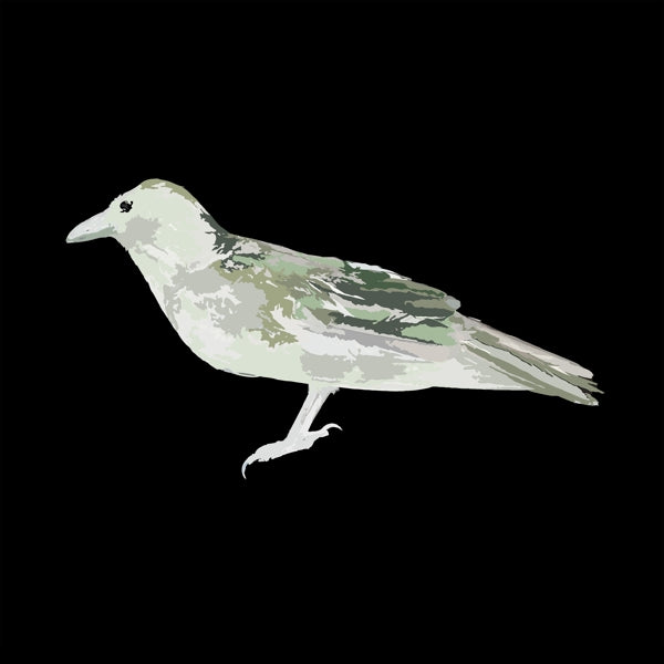 |  Vinyl LP | Green Crow Collective - Hard Drive Error (LP) | Records on Vinyl