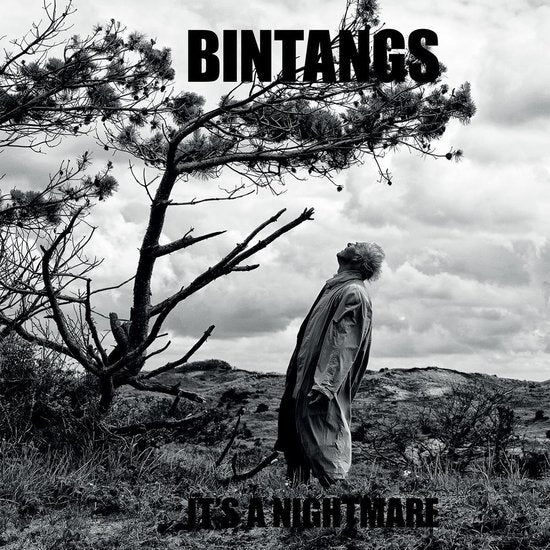 |  Vinyl LP | Bintangs - It's a Nightmare (LP) | Records on Vinyl